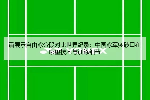 潘展乐自由泳分段对比世界纪录：中国泳军突破口在哪里技术与训练细节