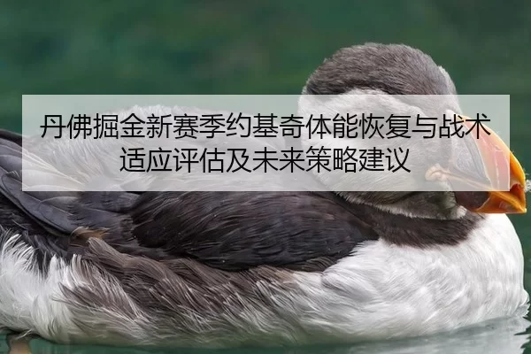 丹佛掘金新赛季约基奇体能恢复与战术适应评估及未来策略建议