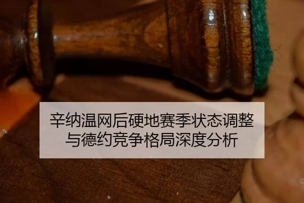 辛纳温网后硬地赛季状态调整 与德约竞争格局深度分析